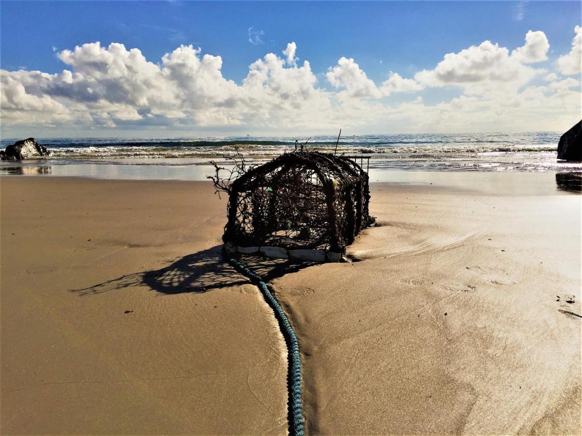St Awaries Studio, Carne Rosslare Harbour Exteriör bild