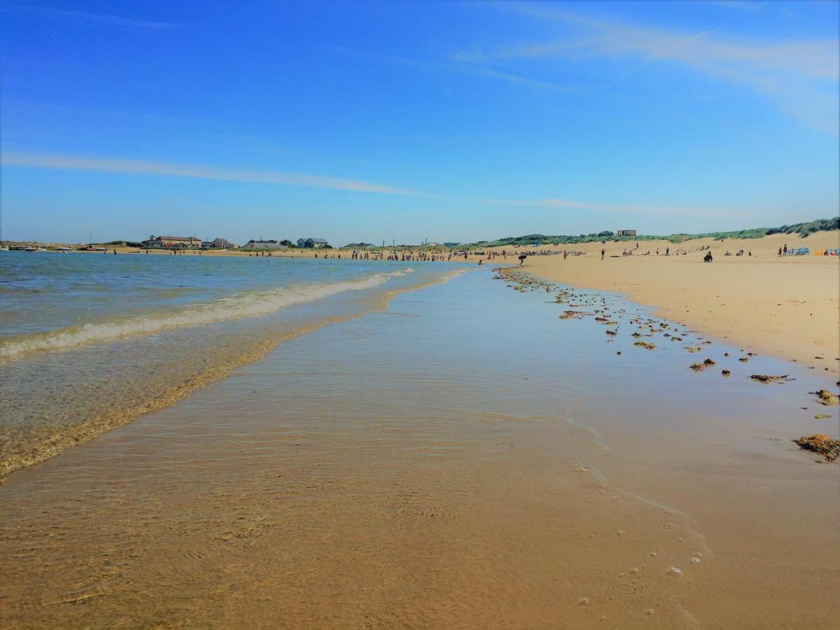 St Awaries Studio, Carne Rosslare Harbour Exteriör bild