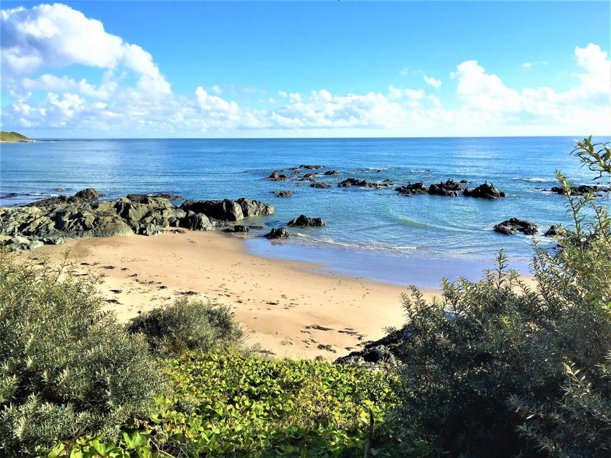 St Awaries Studio, Carne Rosslare Harbour Exteriör bild